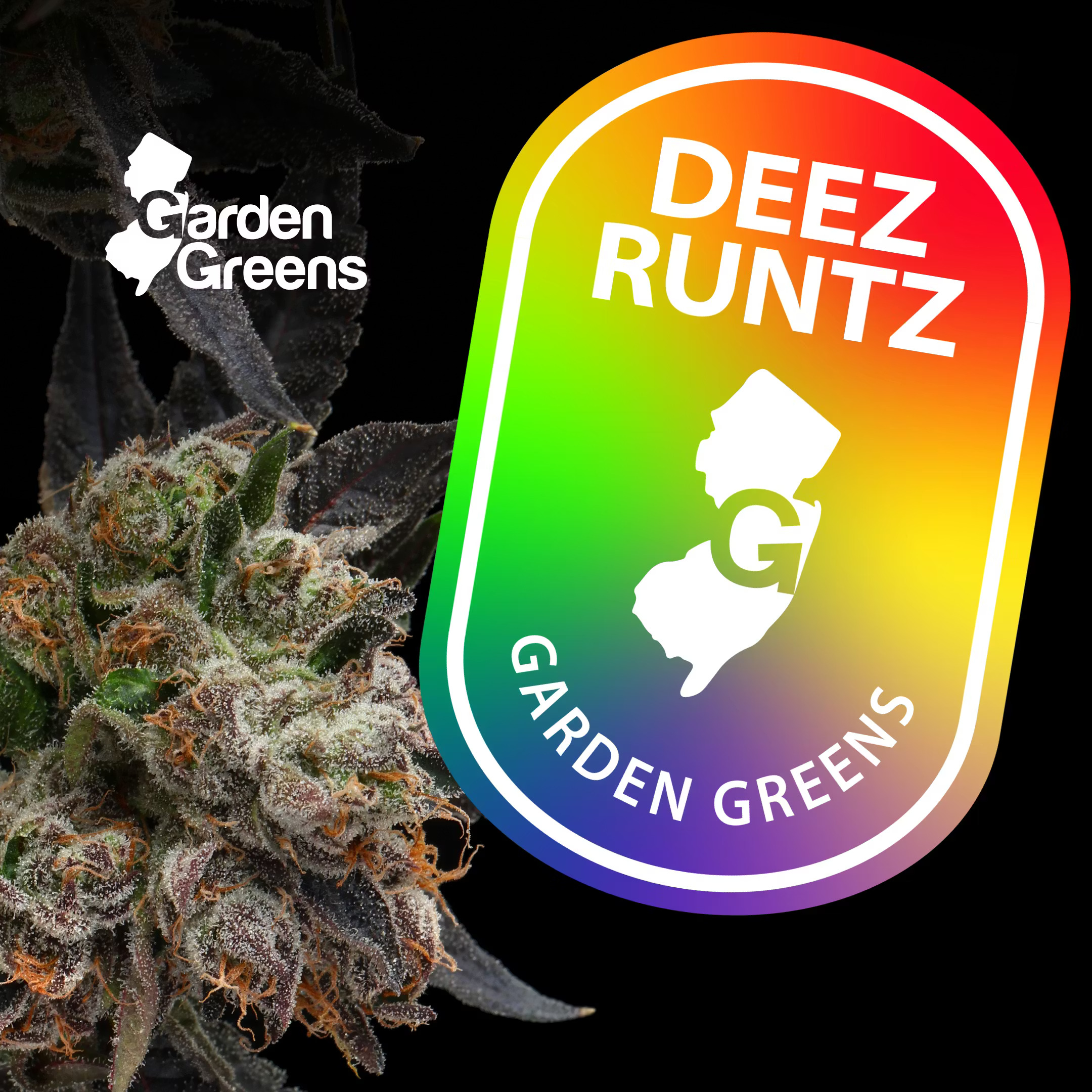 Garden Greens | Deez Runtz | Flower | Big Buds | 3.5g (H)