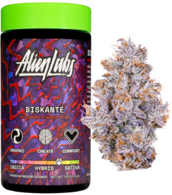 Biskante [H] - Flower