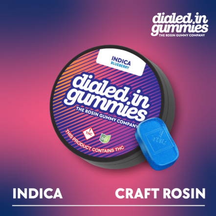 Dialed In | Blueberry 10pc | 100mg Rosin Gummies