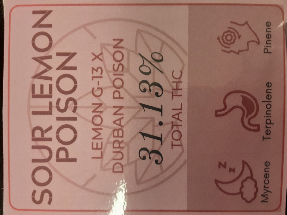 2025 Flower: Sour Lemon Poison