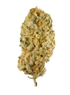 (2) Alternative Solutions: Jack Herer (H-S)
