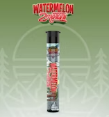 Voyage Bloom - Watermelon Zmartini - Preroll