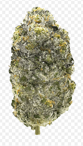 Strawberry Pines