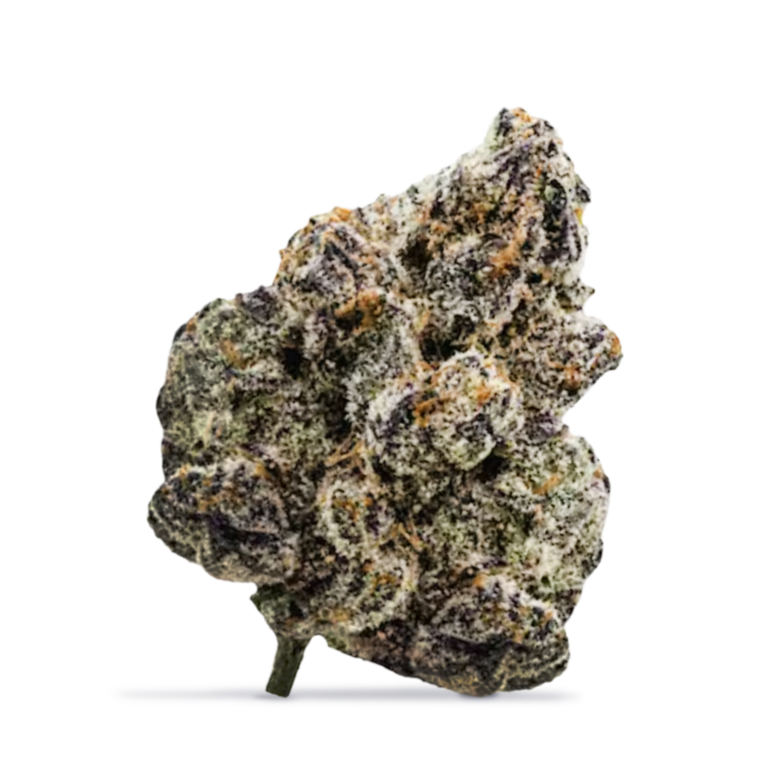 Oakfruitland — Oak-lato