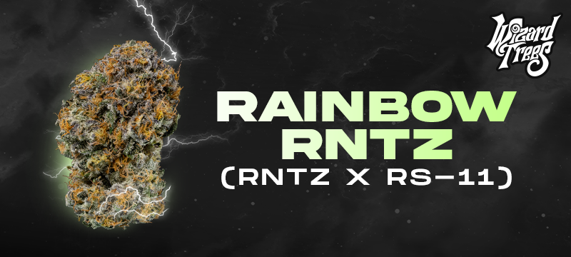 Rainbow Rntz Flower | 3.5g