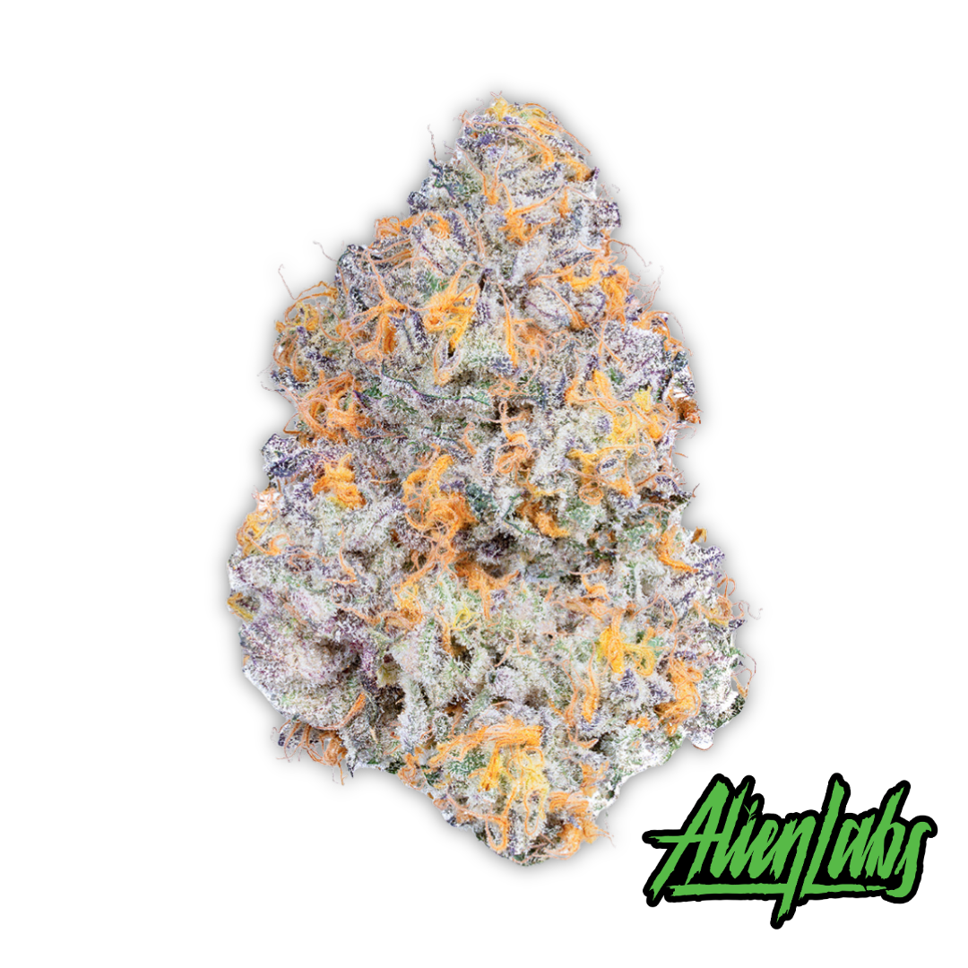 Dark Web 3.5g Flower