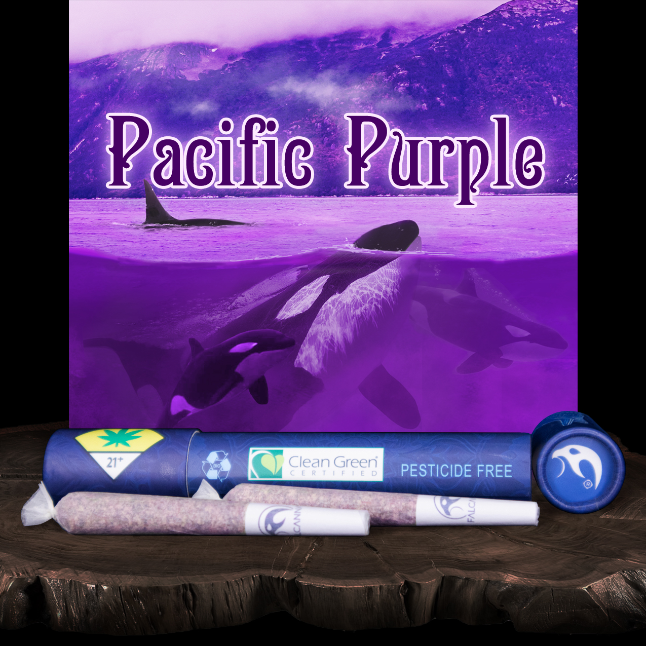 FALCANNA - Pacific Purple Pre-Roll 2-pack | 1.2g