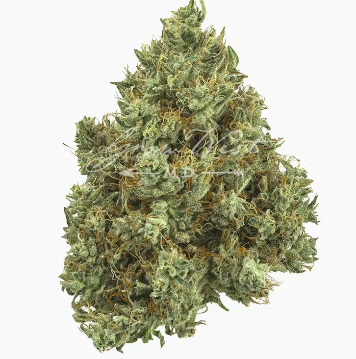 GROW WEST Lilac Diesel 3.5g