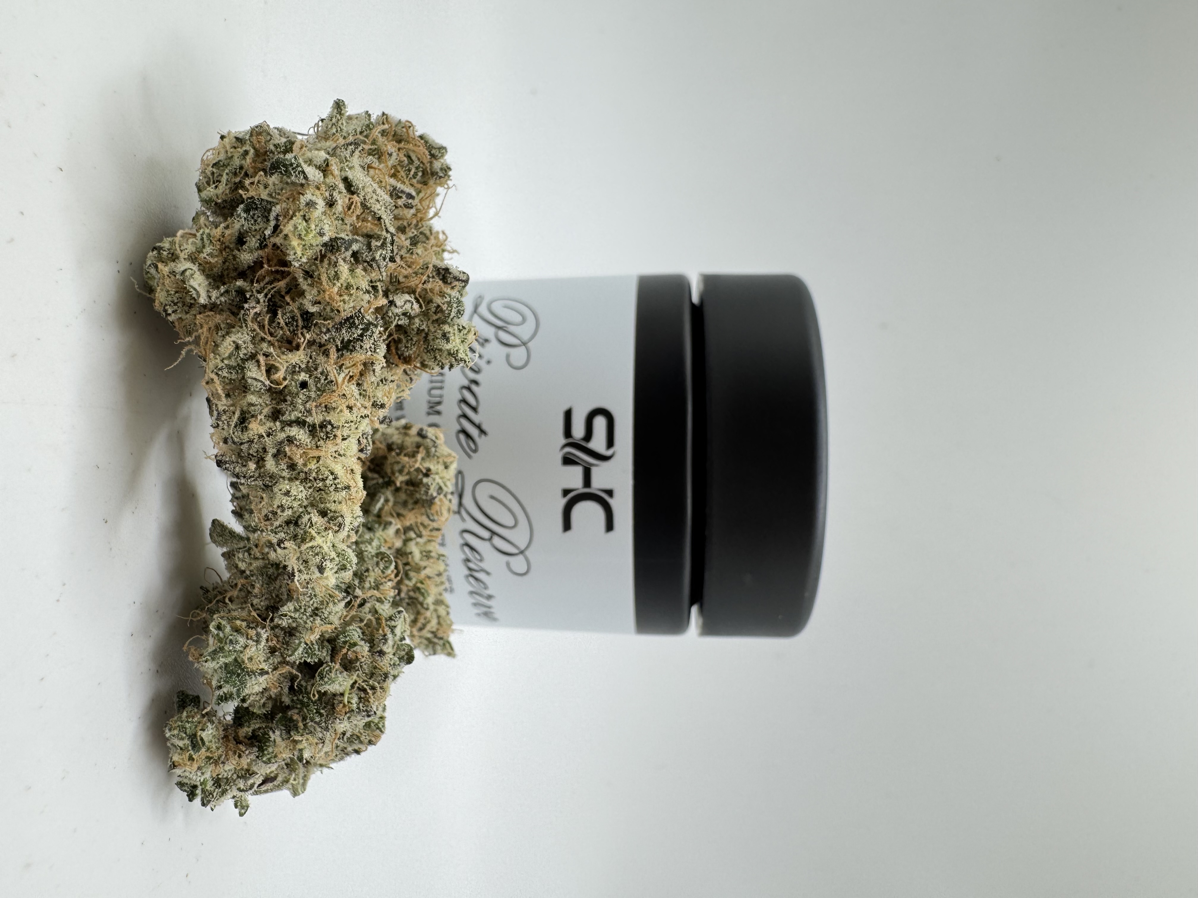 Government Oasis Flower