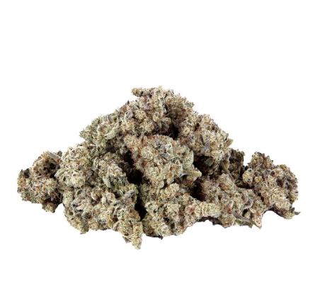 Selected. - The Showcase - Platinum Gelato Breath (Platinum Kush Breath x Gelato 33) - Hybrid - 14g
