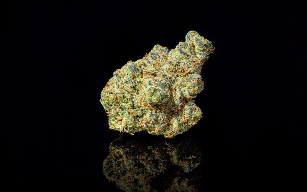 $60 oz: Apple Fritter