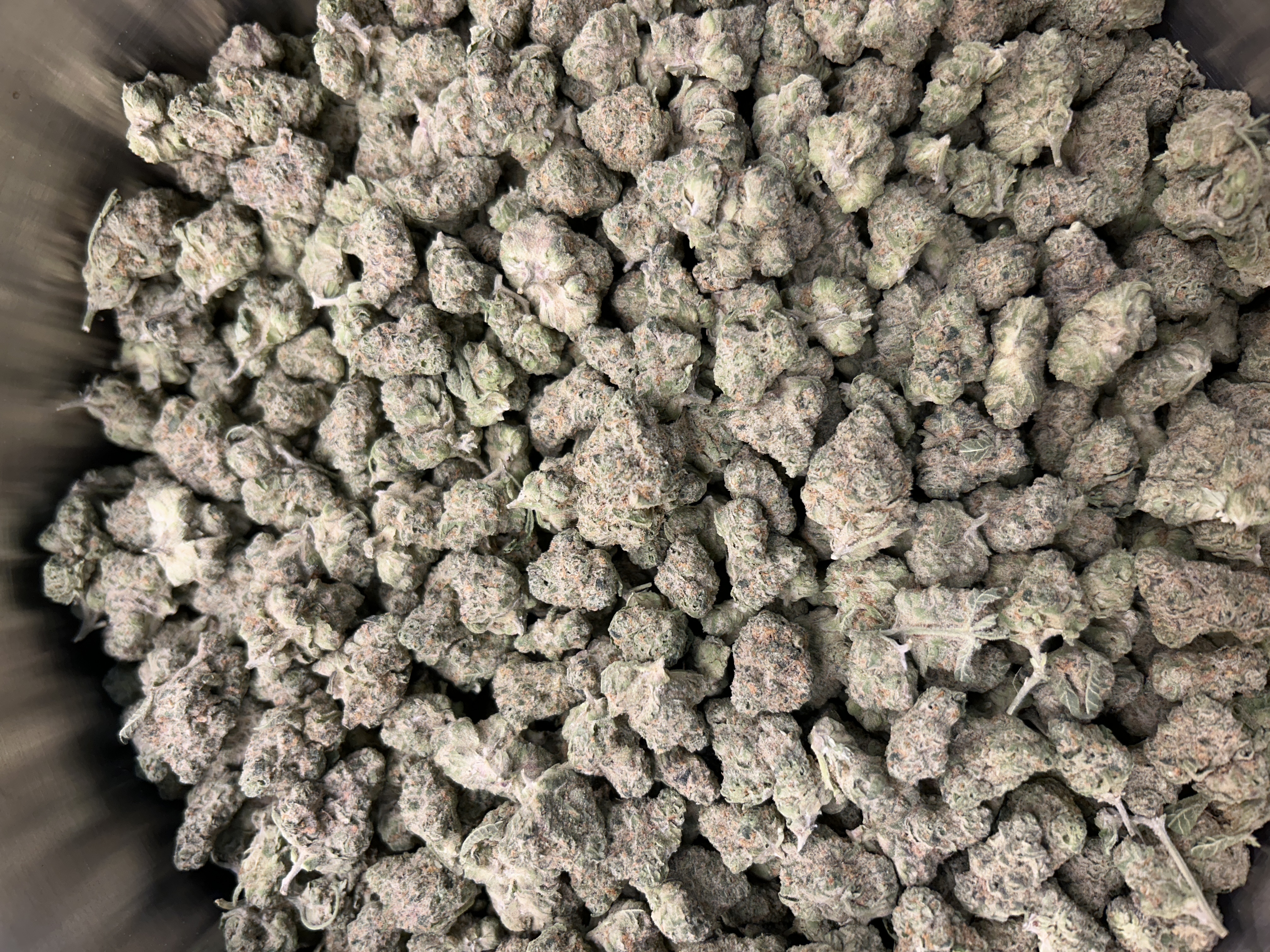 Standard Farms | Fat Gushers | Buds | 2% Terps (1g) product photo