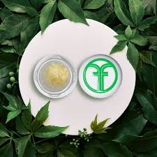 Freshy Fine - Hash Rosin - GG4 - 1g