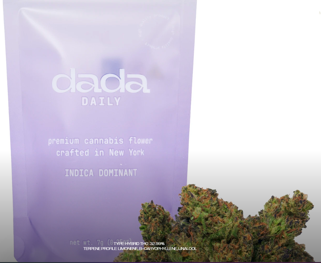 Dada | Flower | Daily | Garlic Cream#2 | 7 G