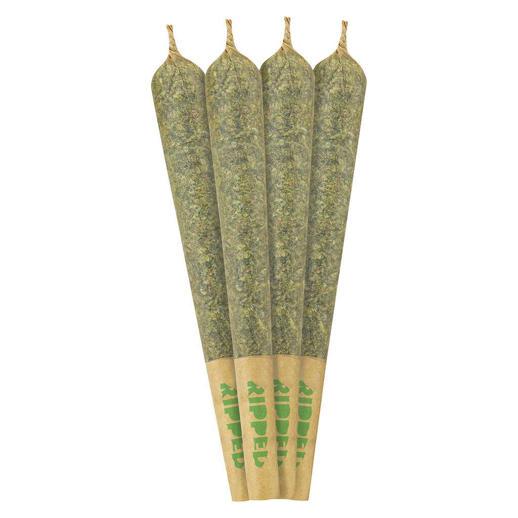 Ripped - Rolls Pre-roll - Hybrid - 4x1g