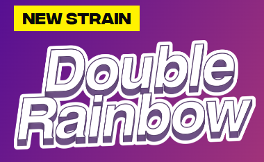 Jeeter | Double Rainbow Baby Jeeter .5g Infused Pre Roll 5 pack product photo