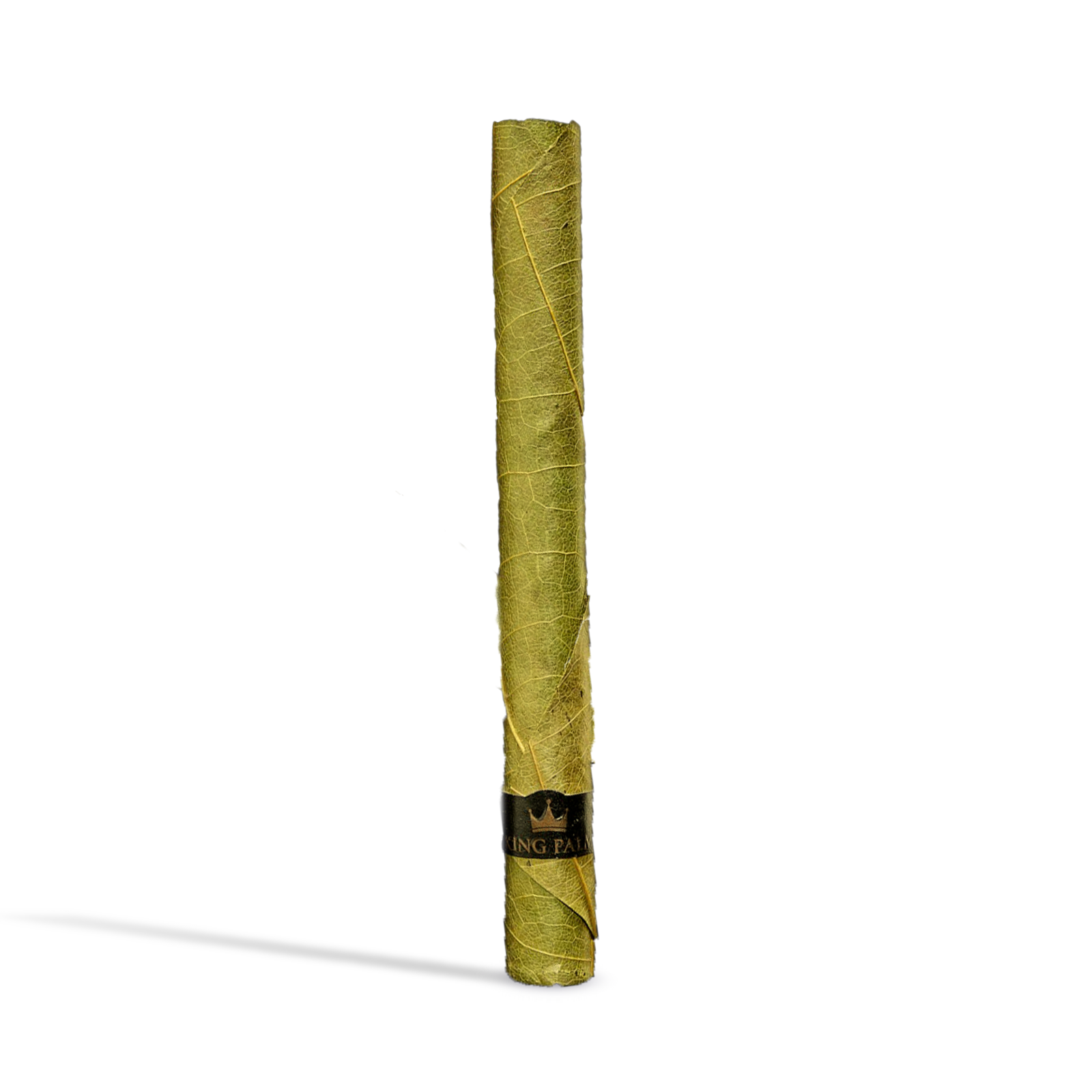 Crud Boys Heater Jane Doe