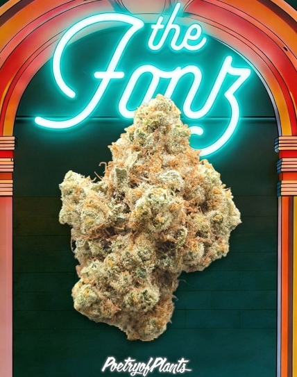 Legacy | Poetry of Plants | The Fonz | Flower | 1g