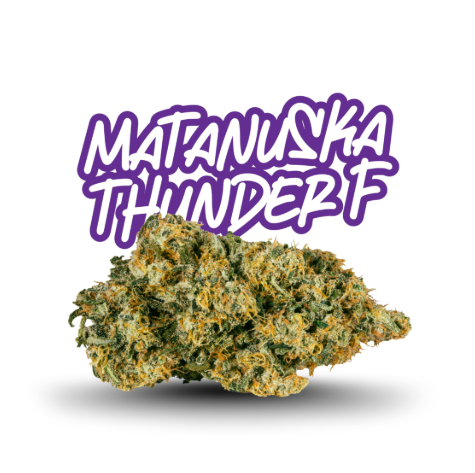 FADE CO. Matanuska Thunder F*ck 5g