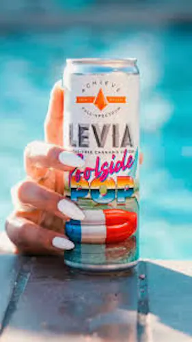 Seltzer | Seasonal Poolside Pop