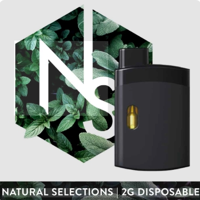 Tropicana C Cured Resin Diamond Disposable: 2g