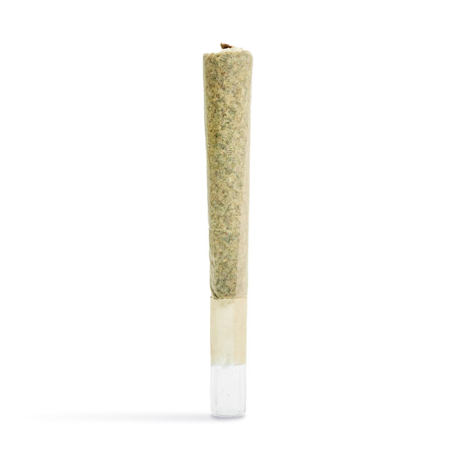 Lobo | Papaya Punch | Fuerte | Sauce & Hash Infused | Pre-Roll | 1g by Lobo - pre-rolls cannabis product