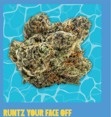 PRE-PACK FLOWER RUNTZ YOUR FACE OFF (I/H) 3.5G