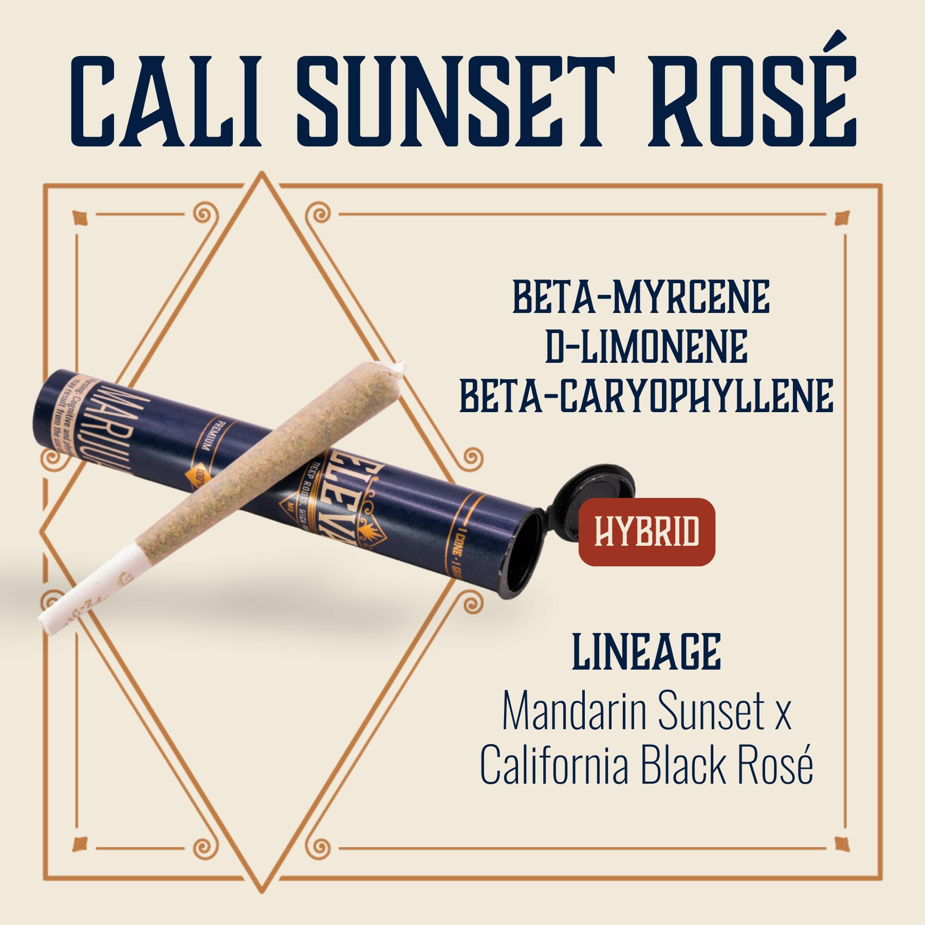 Cali Sunset Rosé Pre-Roll | 1g