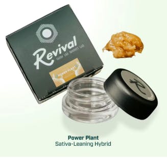 Hash Rosin Power Plant