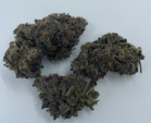 7g | Rainbow Zangria