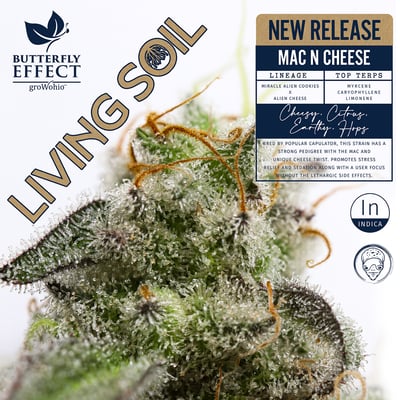 Butterfly Effect | Mac and Cheese (Living Soil) | 2.83g