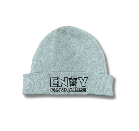 Envy Logo Beanie Grey