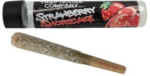 Strawberry Shortcake Dubbz Covered