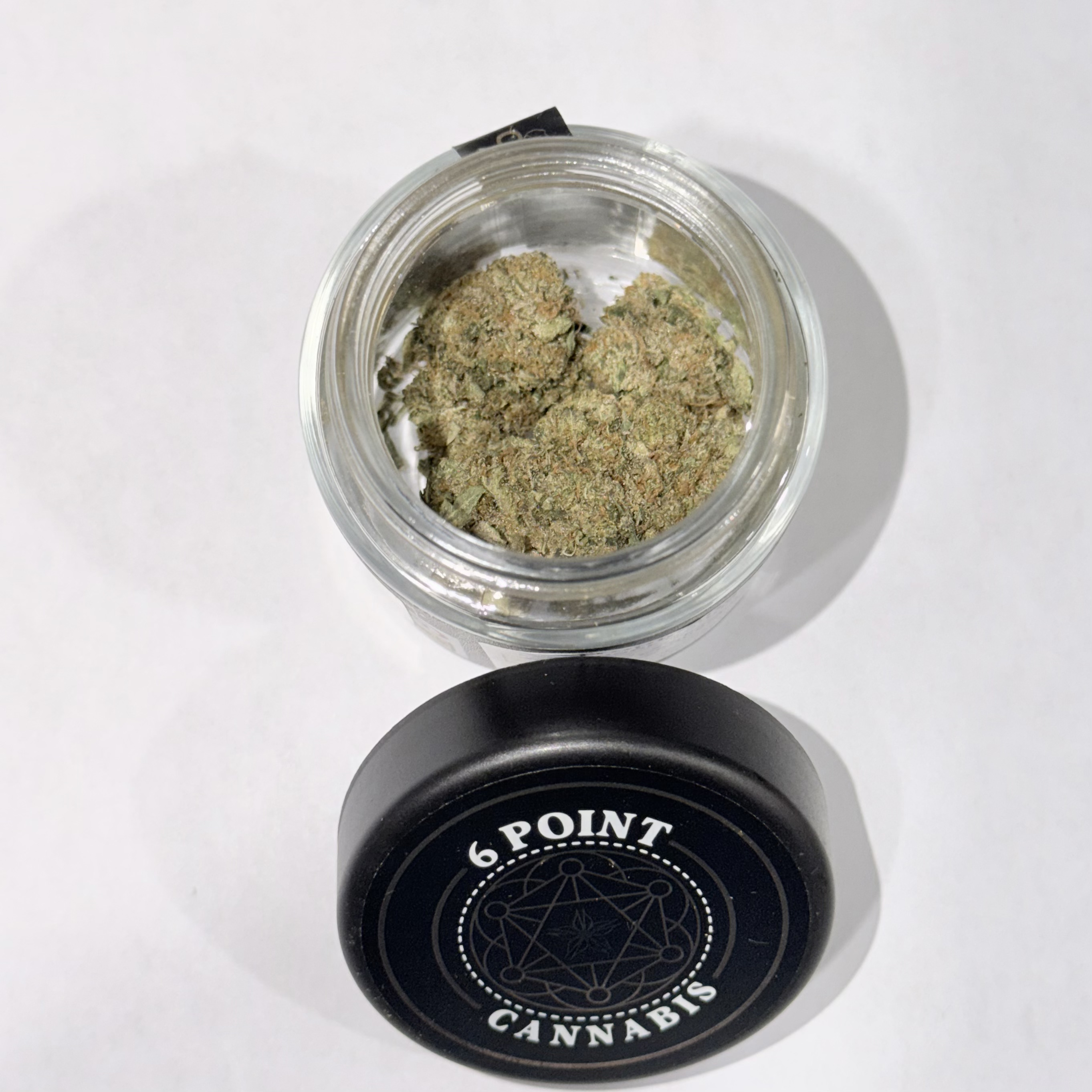 Premium Indoor Flower Tropicana Banana