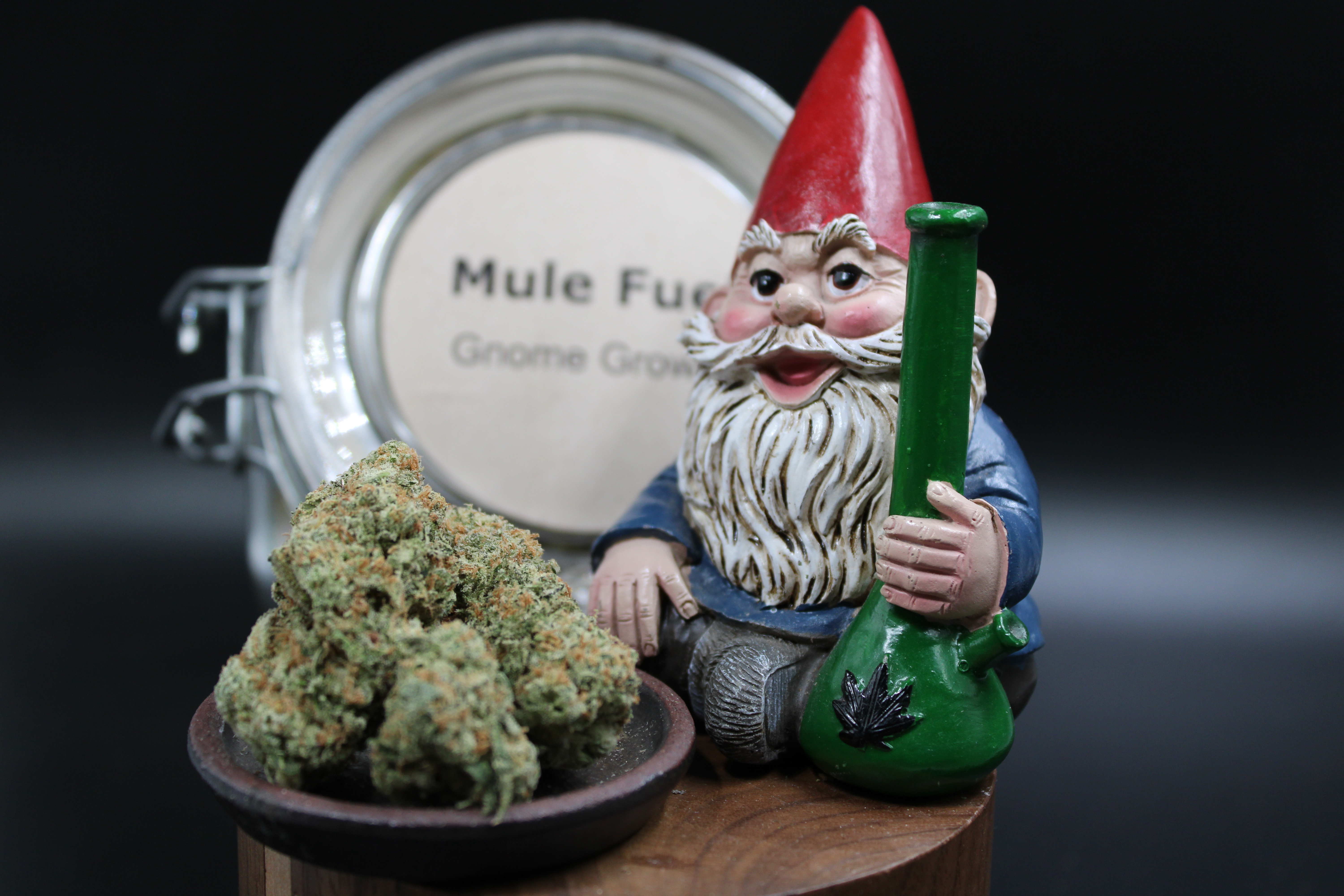 Mule Fuel