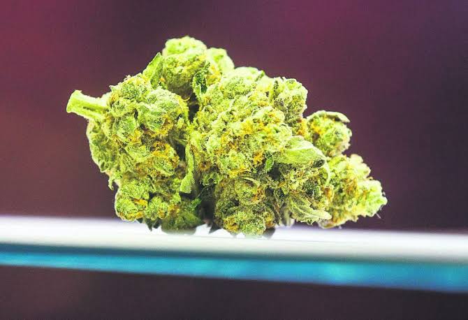 IT Cannabis - - Bulk Flower - Heaven's Devil [IH] <LST2>