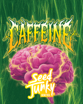 Caffeine Deli