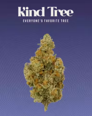 KIND TREE Dirty Banana 5g