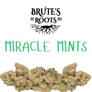 Miracle Mints - 3.5g Premium Smalls Flower - Brute's Roots - REC