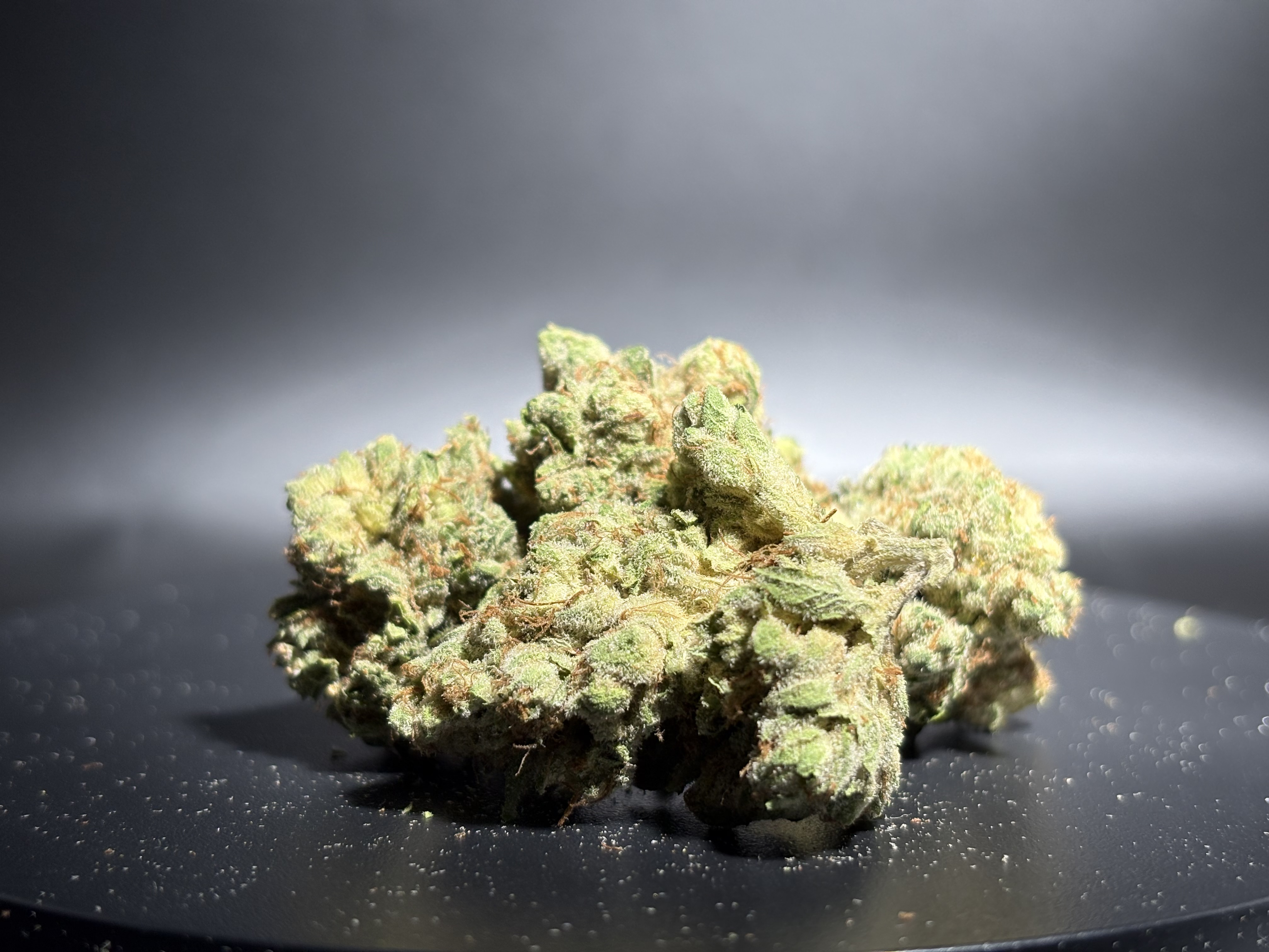 Terp City - Flower - Bulk - Hot Zawts