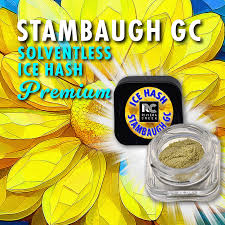 Garlic Cookies Ice Hash | .5g