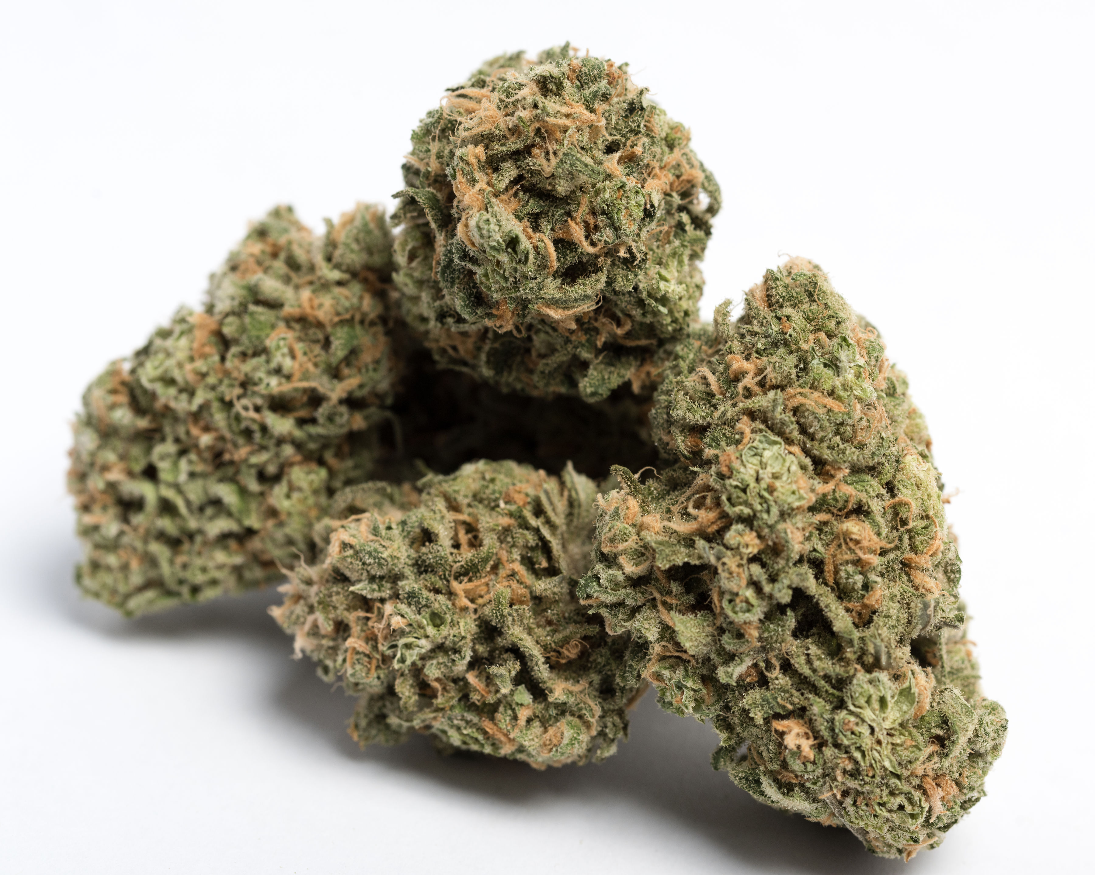 Blue Dream
