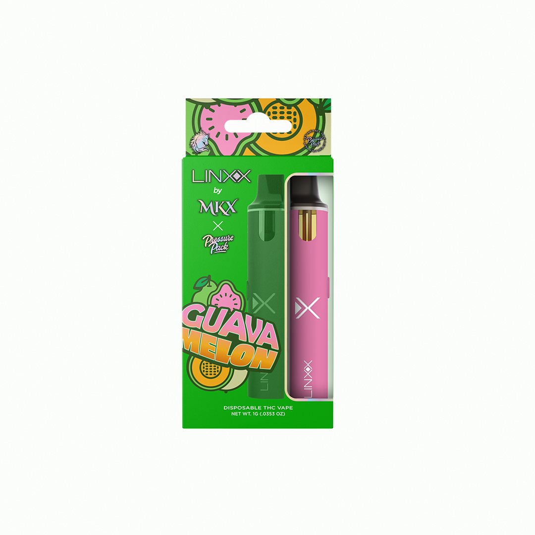 LINXX Disposable Vapes - Guava Melon