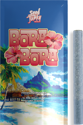 Bora Bora [H] - Preroll