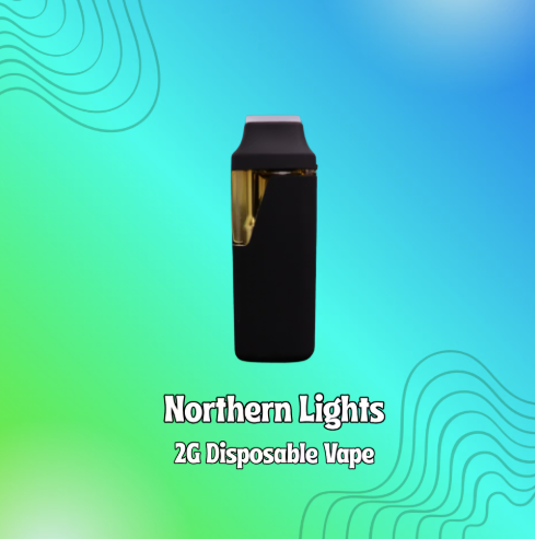 Shnicks Shnacks - Northern Lights - 2G Disposable Vape