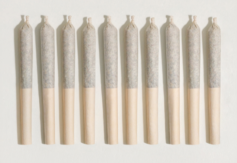 The Cut Pre-Roll 10pk/5g- Animal Tsunami