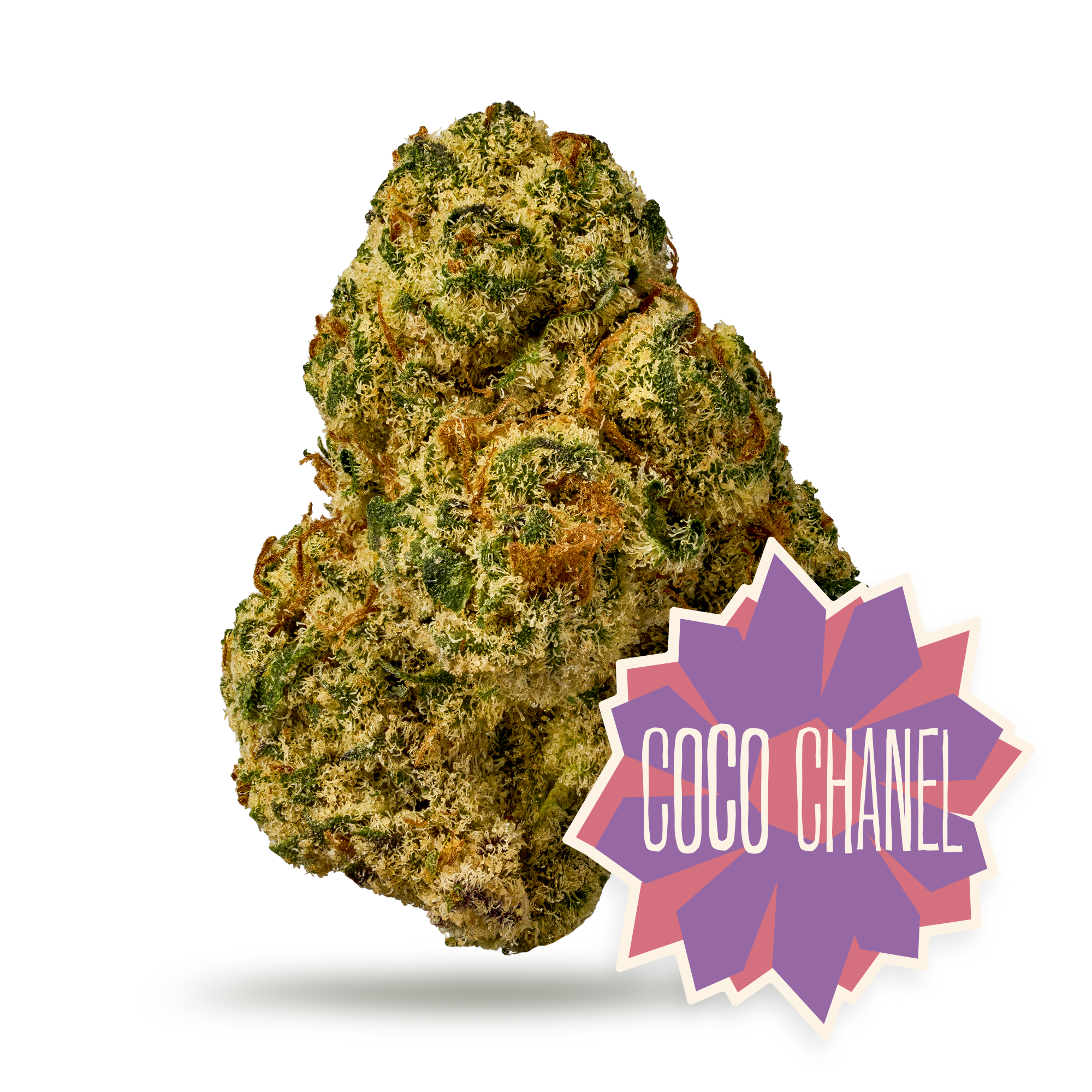 COCO CHANEL | Pre-pack