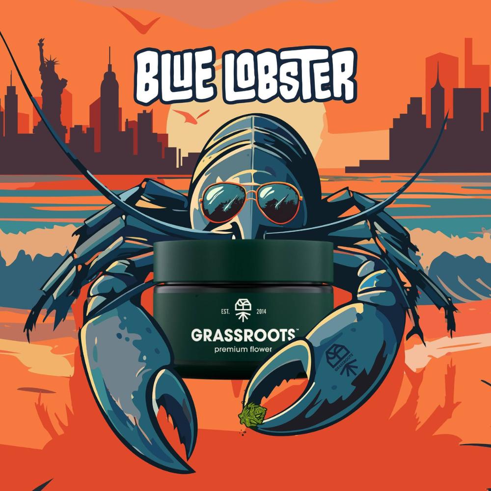 Blue Lobster | Diamond Infused Indoor Flower