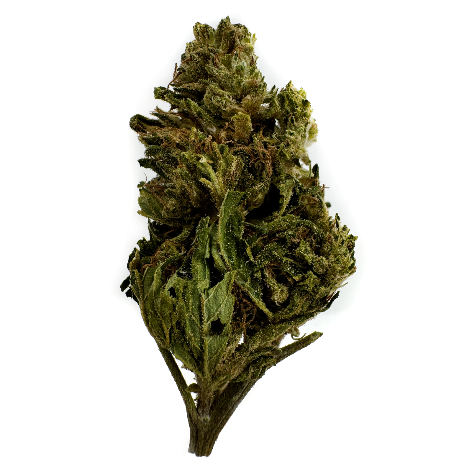 OG Farms | Sun Grown Bulk Flower | Runtz