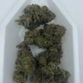 3.5g | Powder Sugar